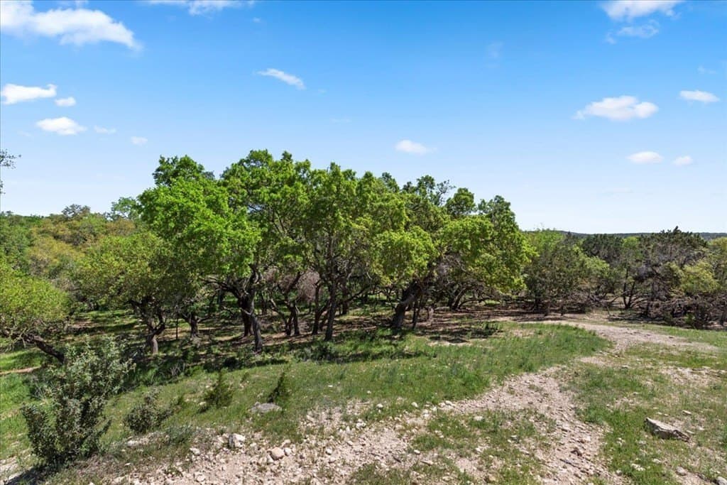 8.14 acres in Hays County - photo 9