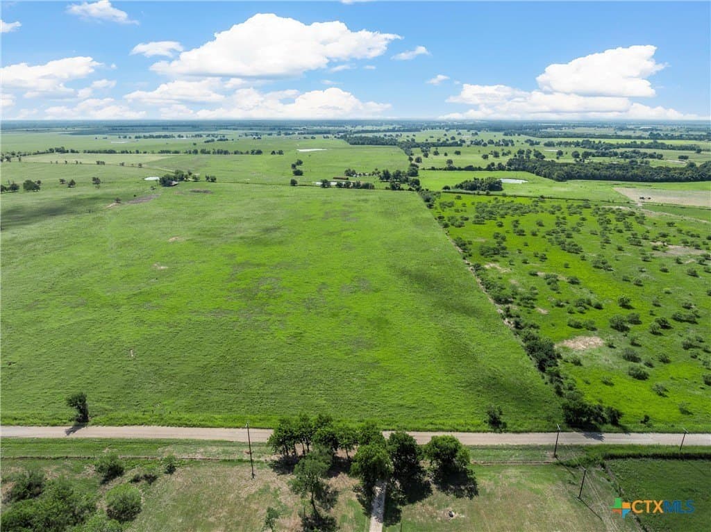 15.03 acres in Milam County gallery image 4