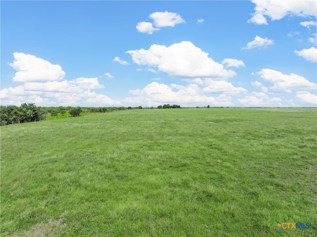 15.03 acres in Milam County - photo 8