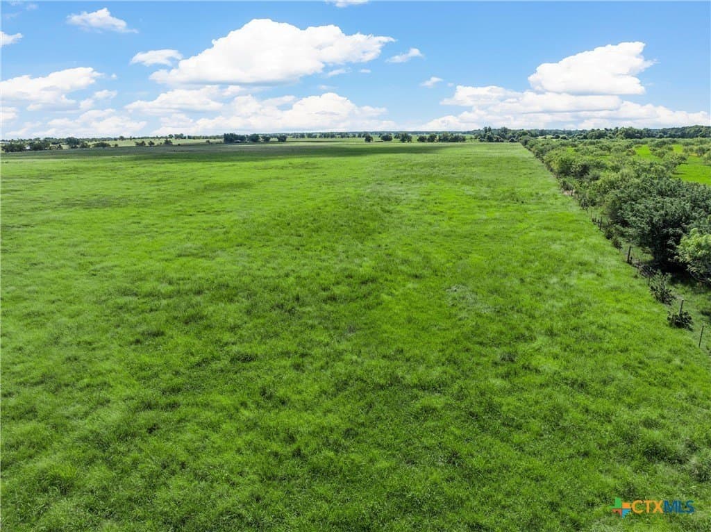15.03 acres in Milam County gallery image 2