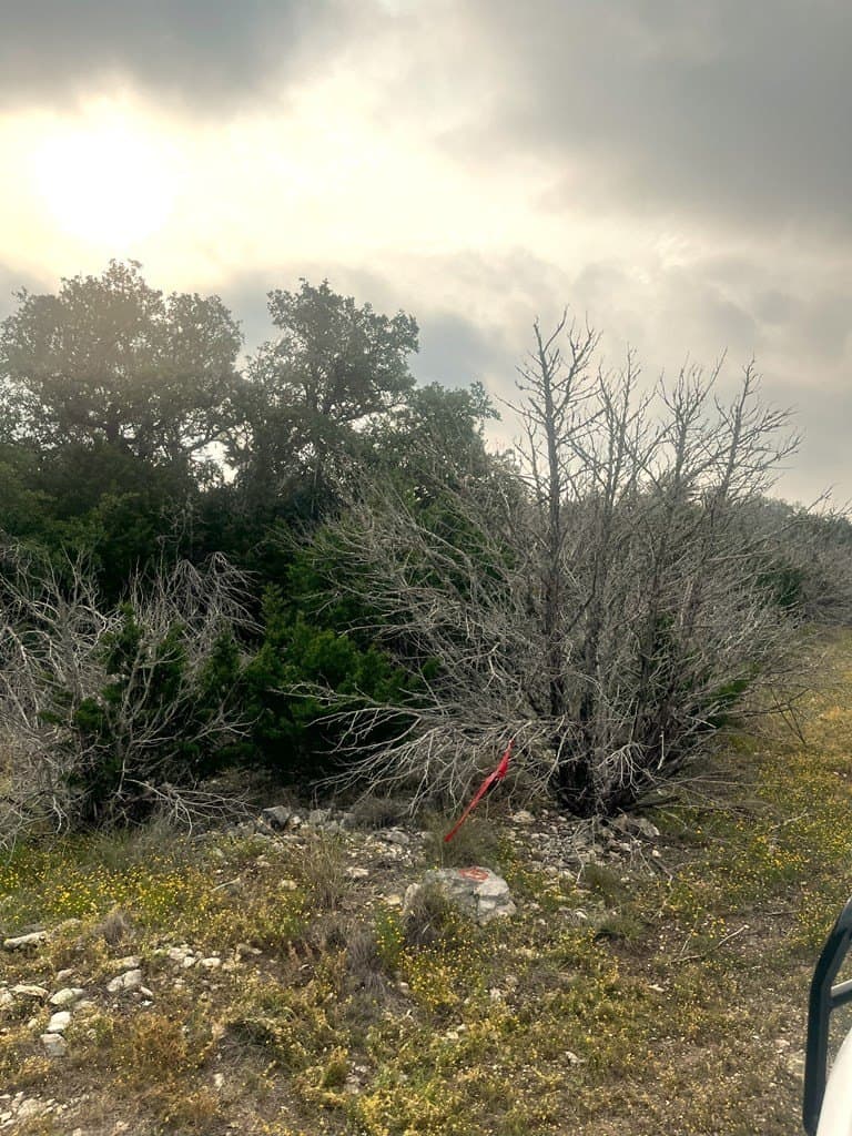 30.06 acres in Real County featured view