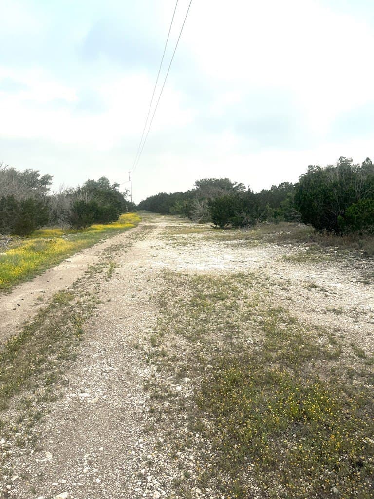 30.06 acres in Real County gallery image 4