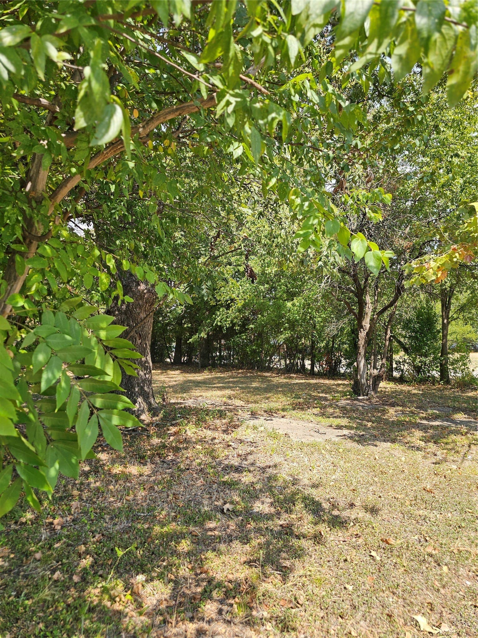 0.13 acres in Navarro County - photo 2