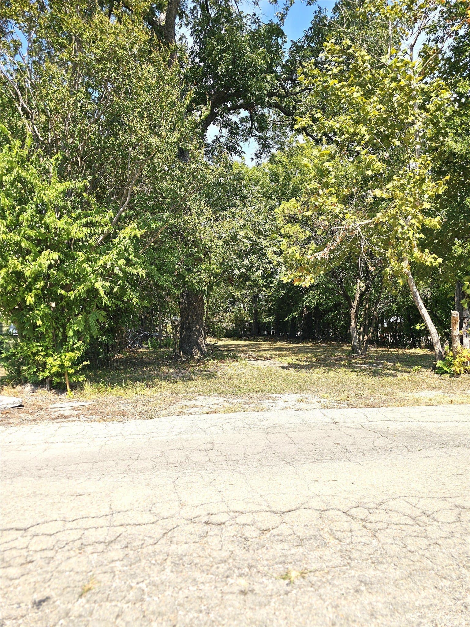 0.13 acres in Navarro County - photo 5