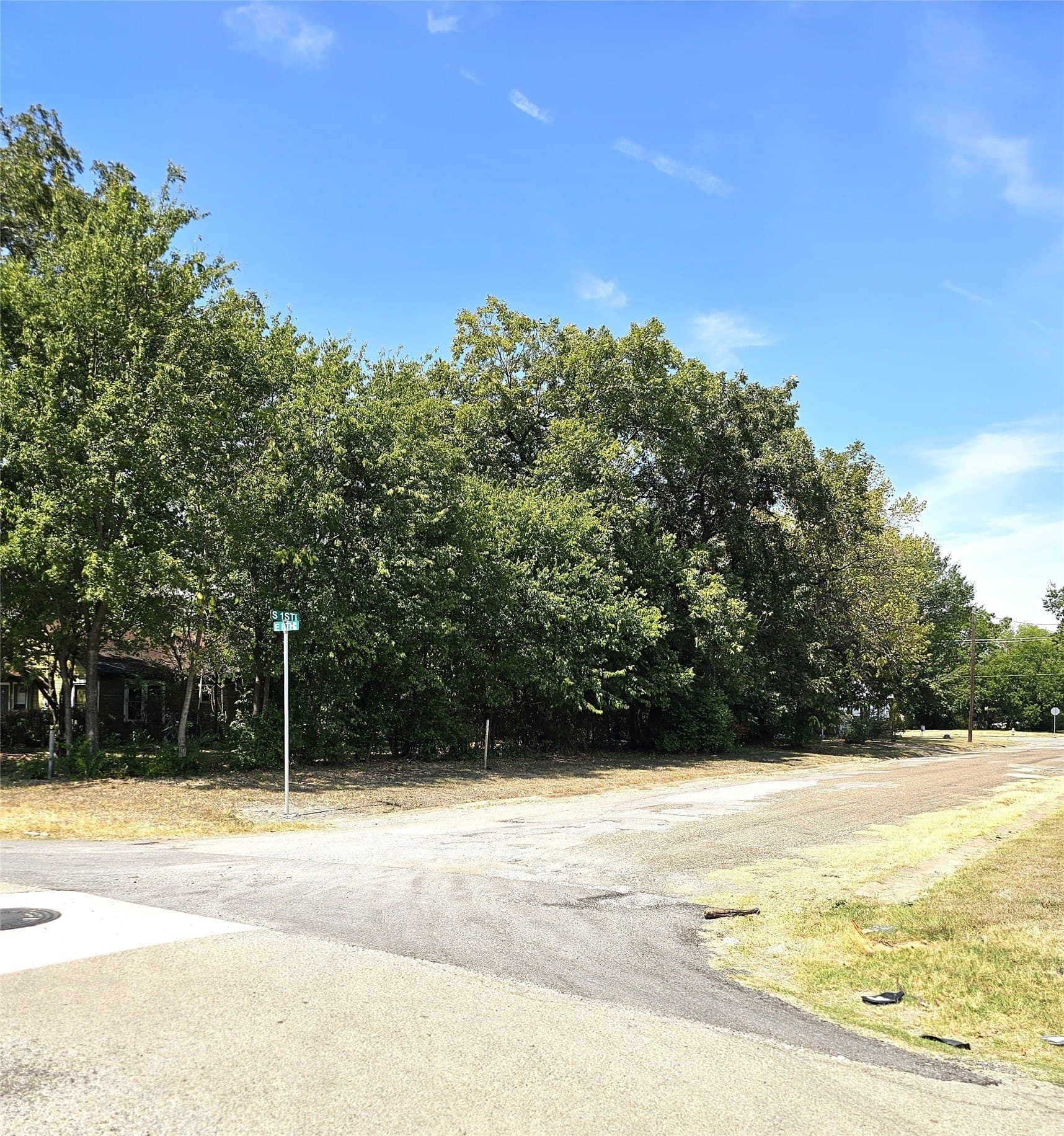 0.13 acres in Navarro County - photo 7