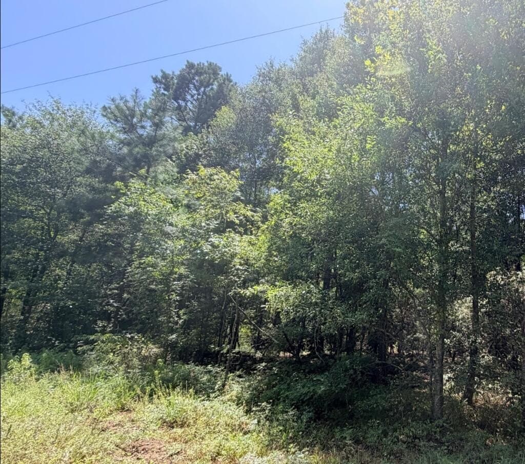 18.53 acres in Texas County - photo 13