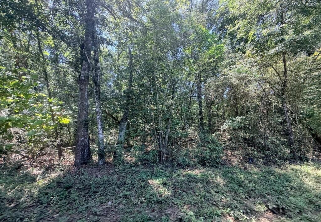 18.53 acres in Texas County - photo 10
