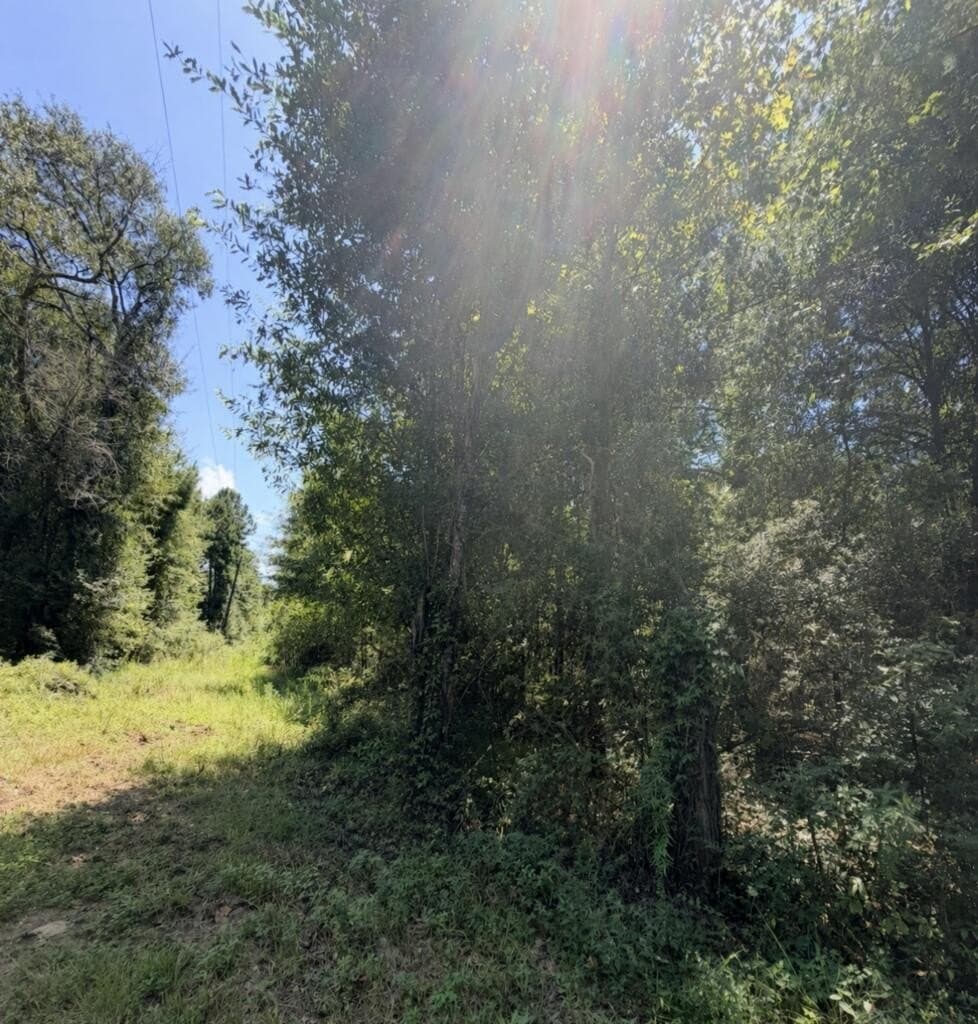 18.53 acres in Texas County - photo 6