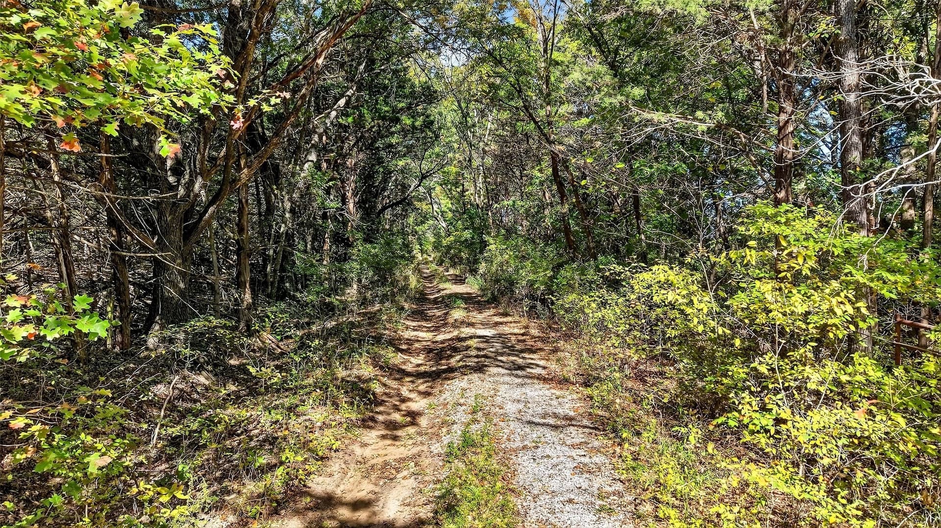 72.75 acres in Grayson County - photo 13