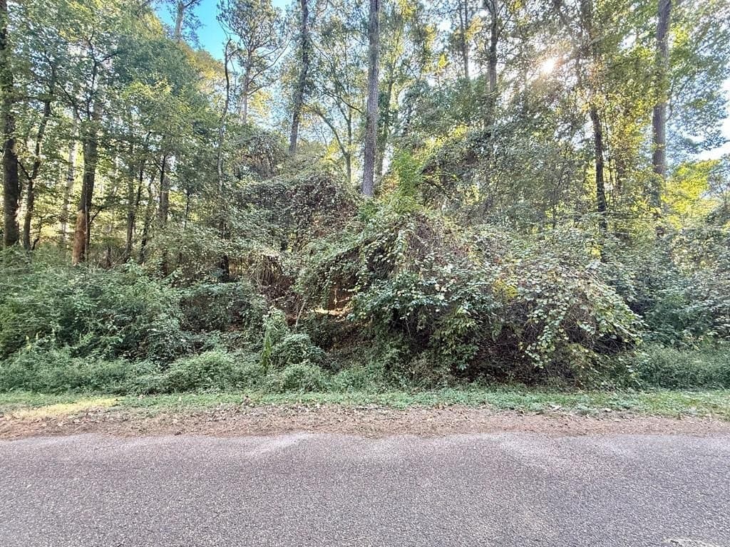 0.3 acres in Texas County gallery image 4