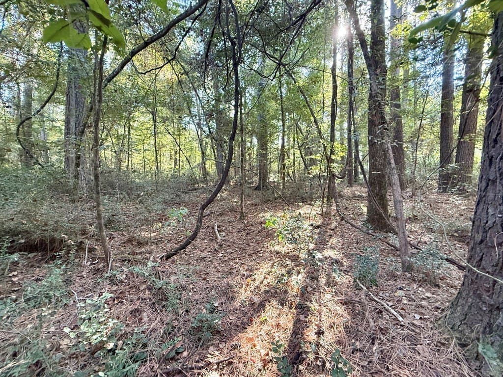 0.3 acres in Texas County featured view
