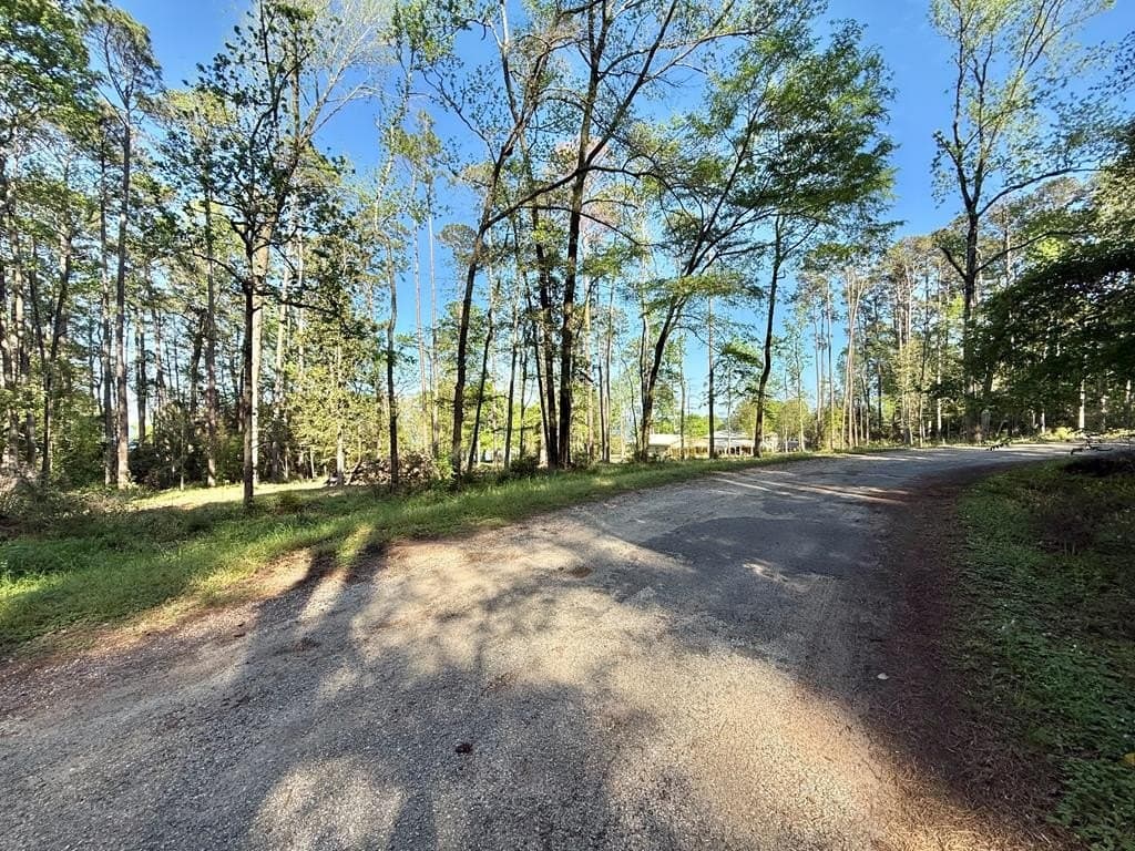 0.3 acres in Texas County gallery image 2