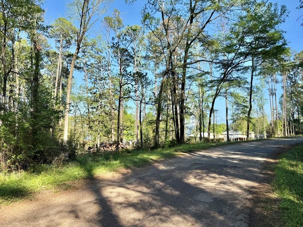 0.3 acres in Texas County gallery image 3