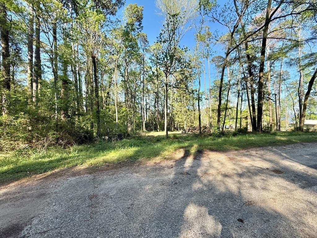 0.3 acres in Texas County