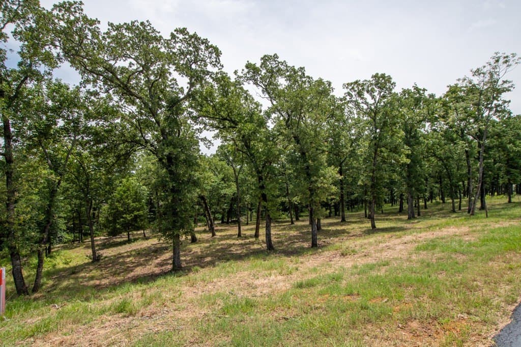 1.63 acres in Henderson County - photo 6