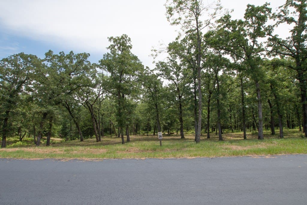 1.63 acres in Henderson County gallery image 4