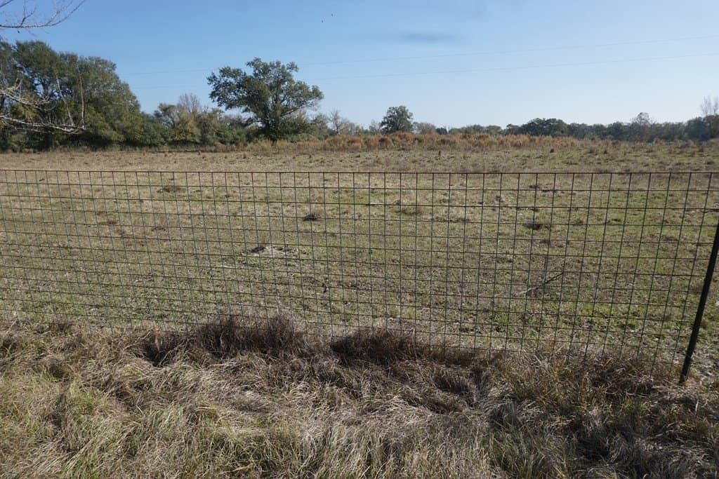 11.5 acres in Madison County gallery image 4