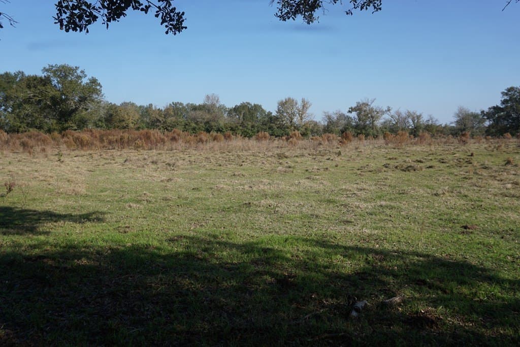 11.5 acres in Madison County gallery image 2