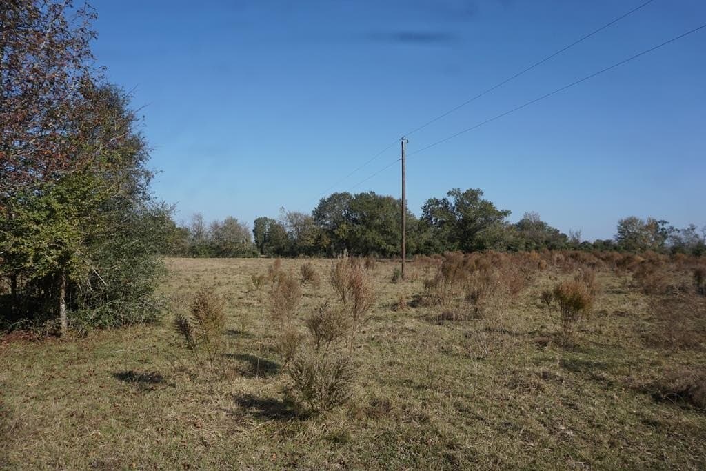 11.5 acres in Madison County