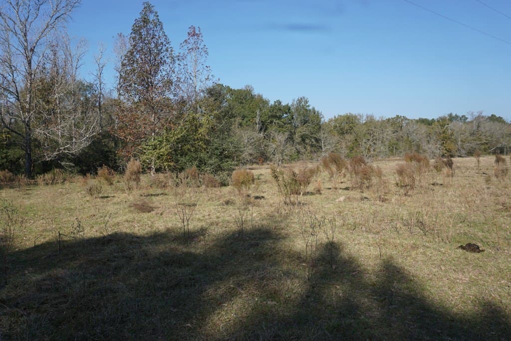 11.5 acres in Madison County gallery image 3