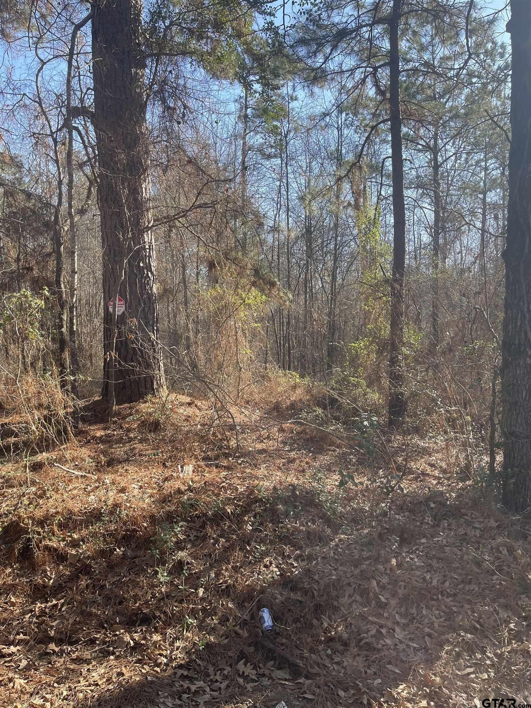 2.39 acres in Smith County - photo 6