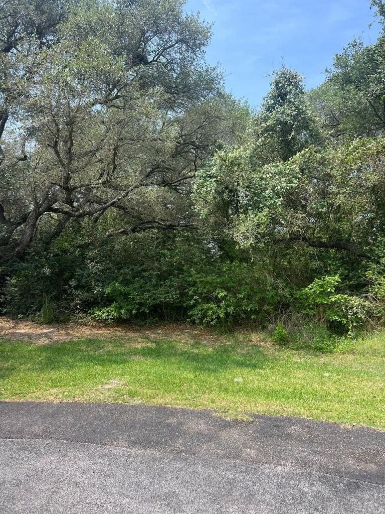 0 acres in Texas County gallery image 2