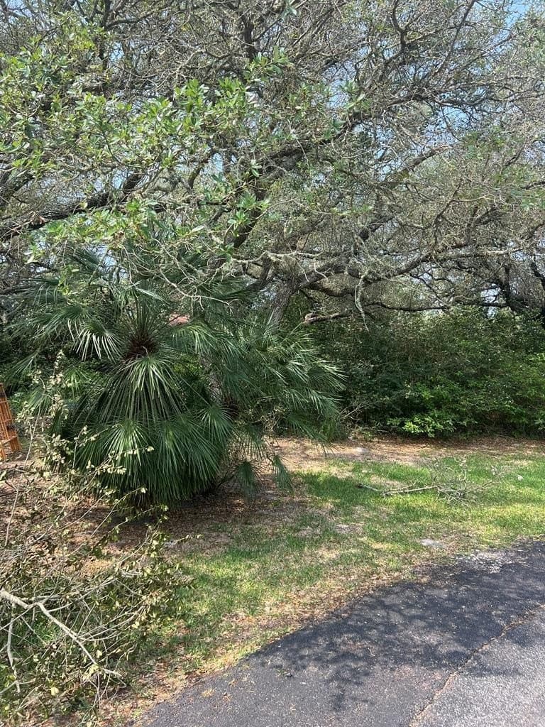 0 acres in Texas County