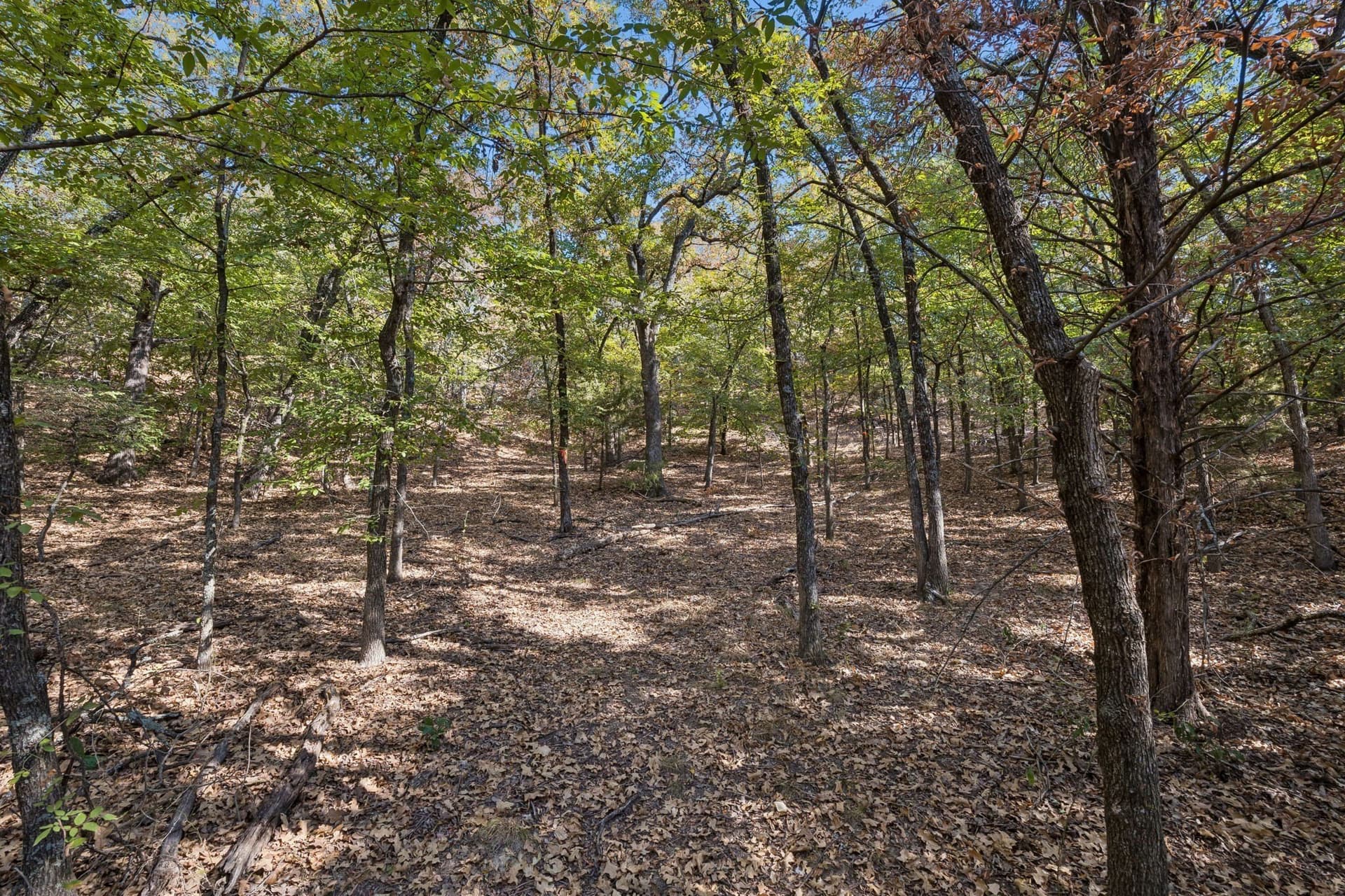 10.63 acres in Denton County - photo 7
