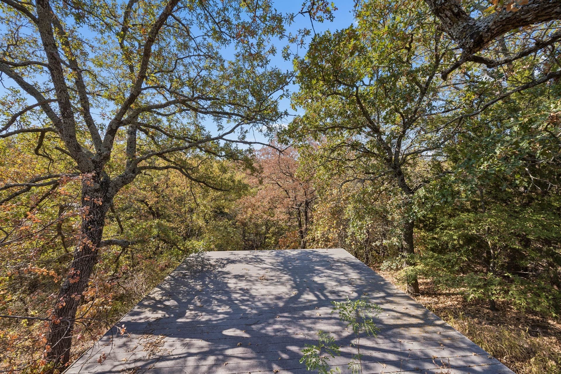 10.63 acres in Denton County - photo 6