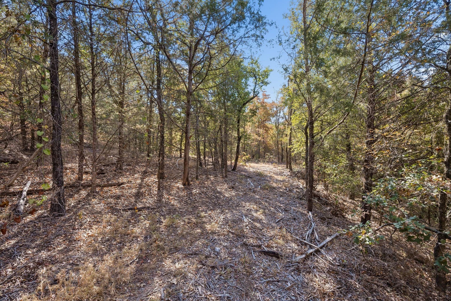10.63 acres in Denton County - photo 26