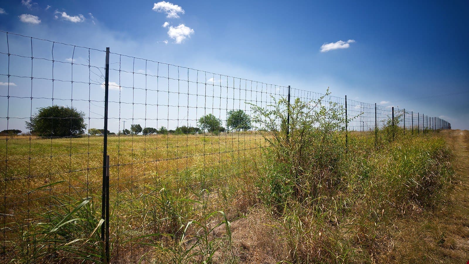195.65 acres in Hamilton County - photo 20