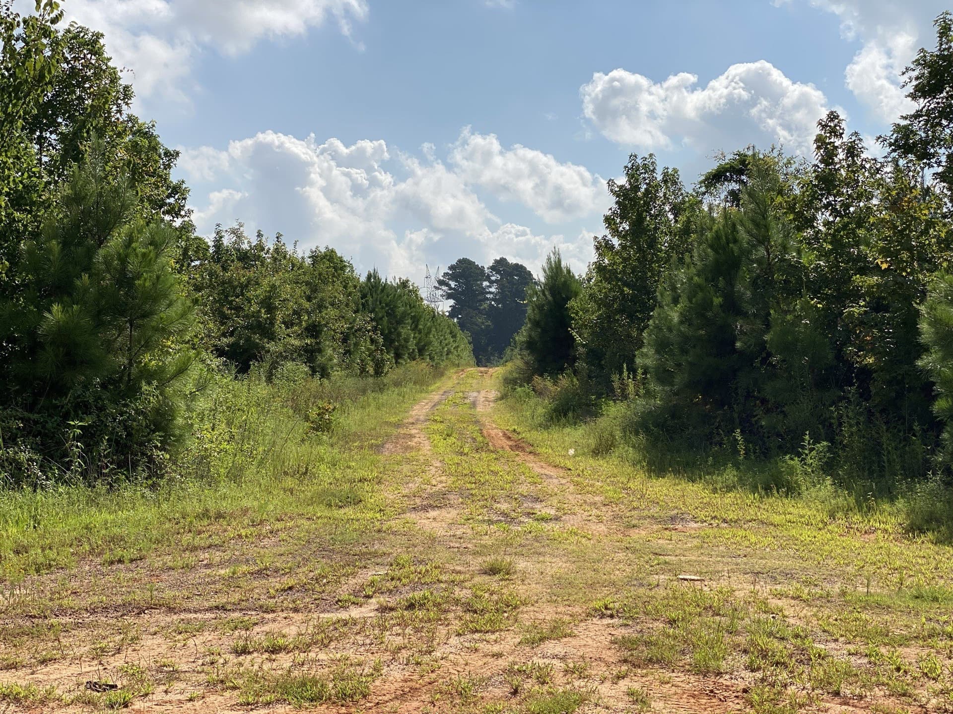 333.85 acres in Rusk County - photo 6
