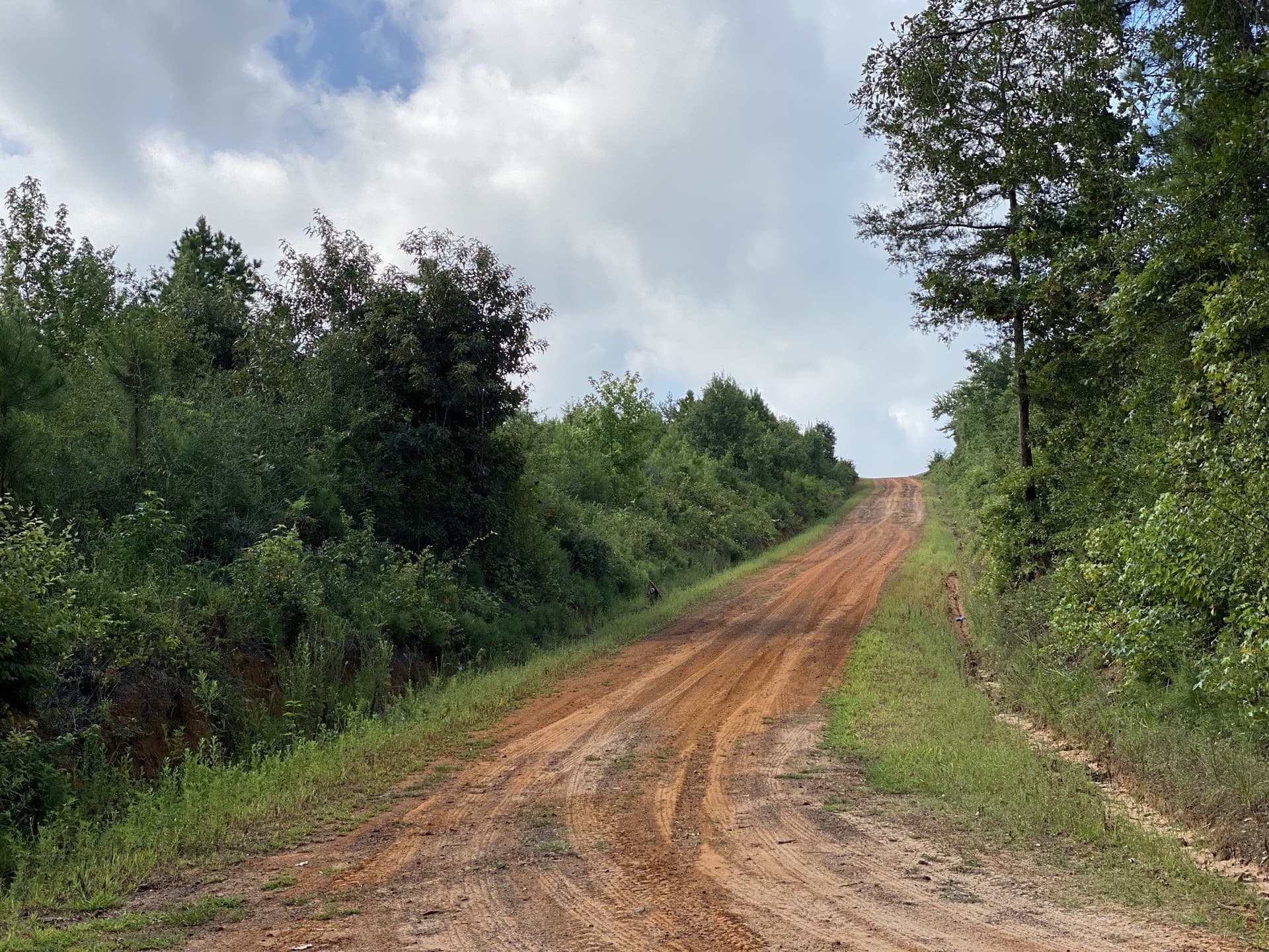 333.85 acres in Rusk County - photo 2
