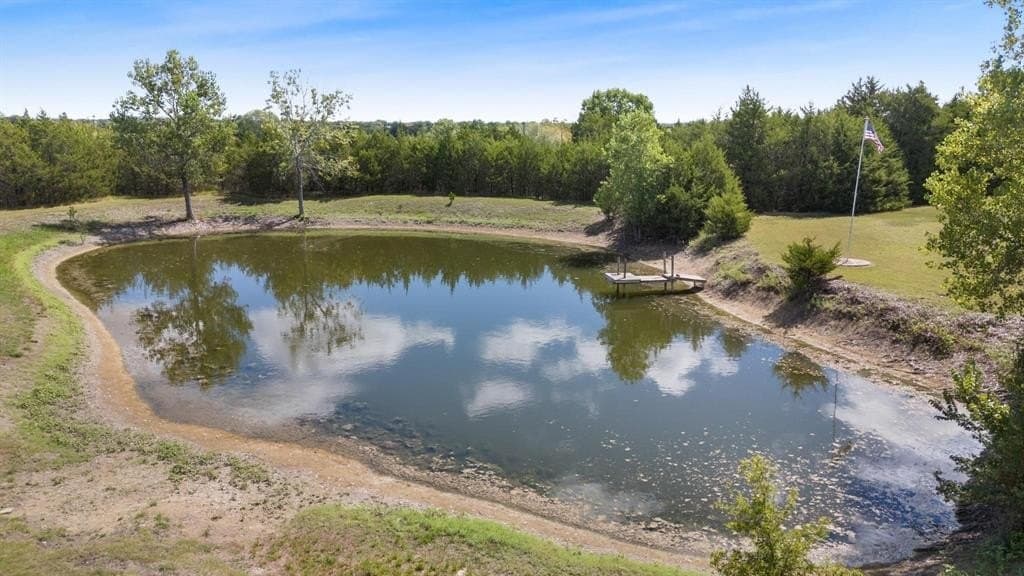 34.83 acres in Fannin County gallery image 4