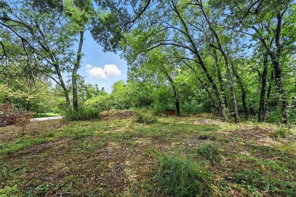 0.58 acres in Navarro County gallery image 3