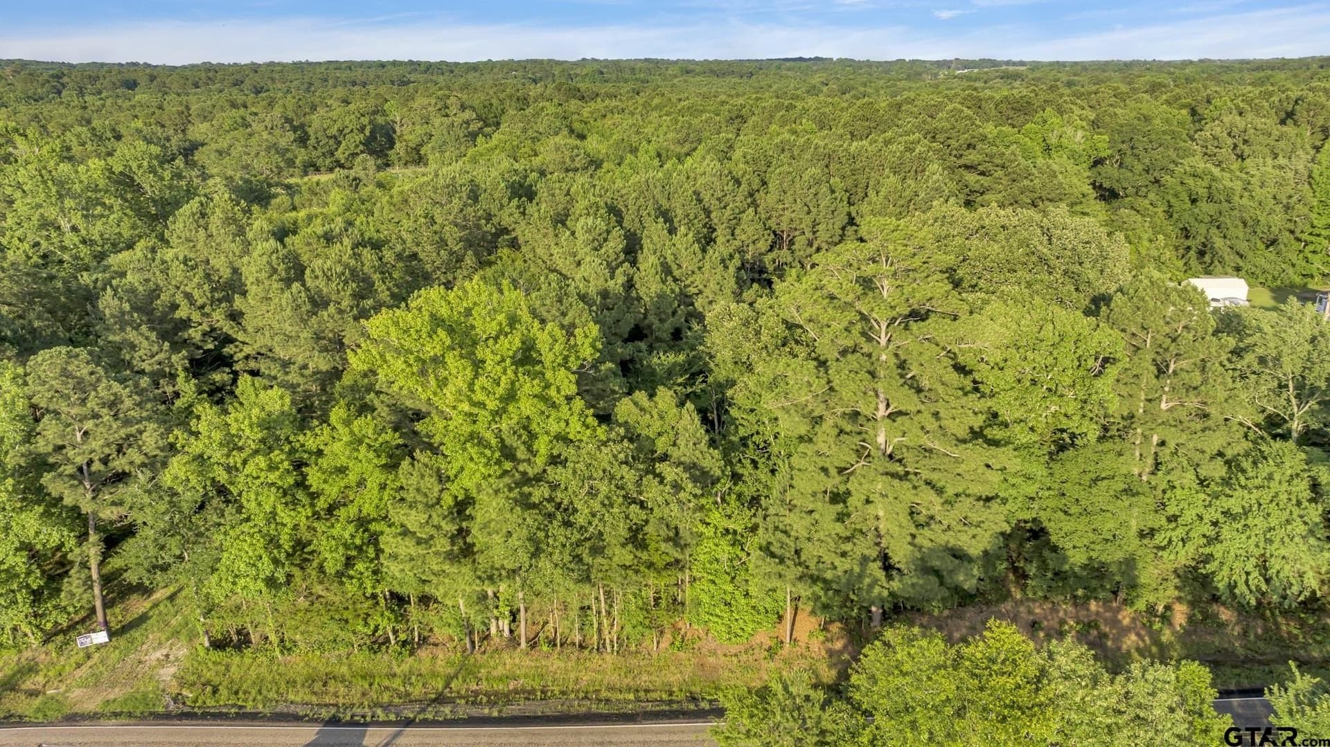 16.12 acres in Smith County gallery image 4