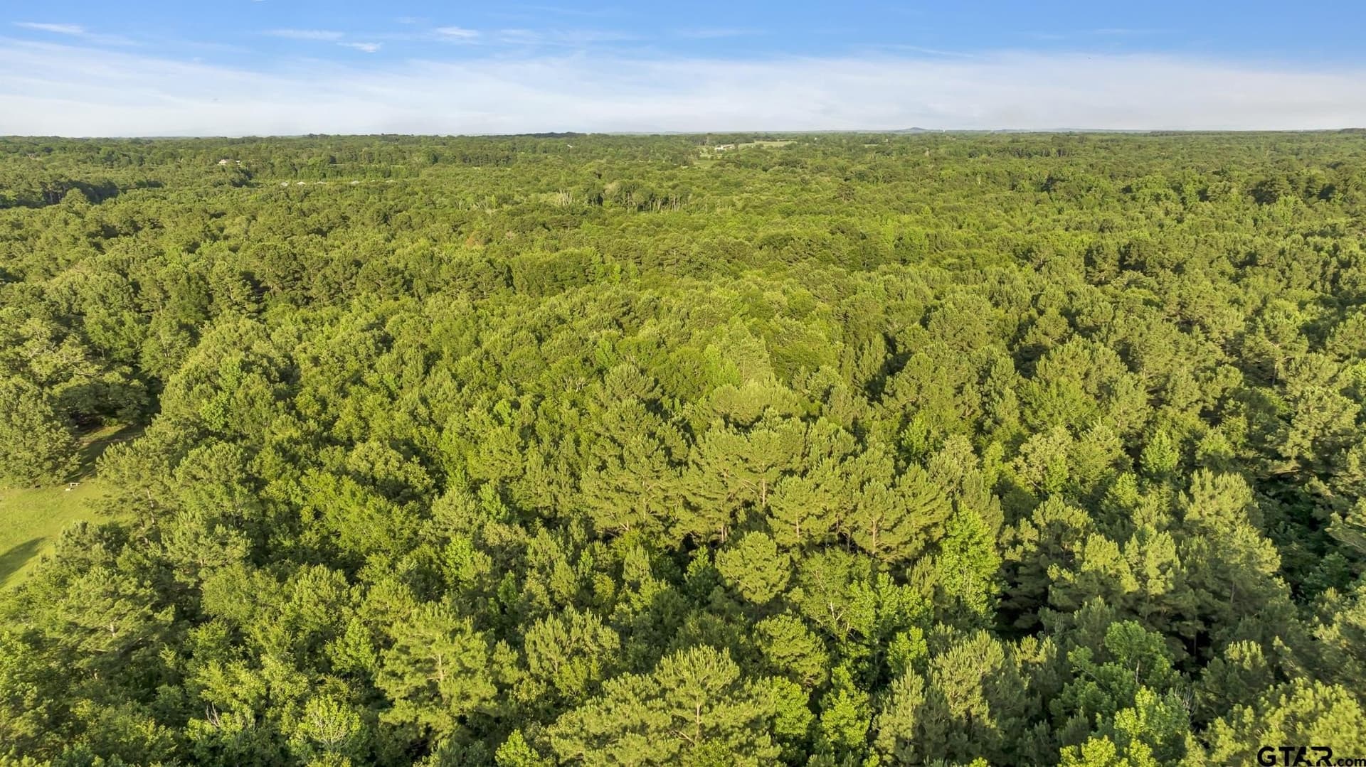 16.12 acres in Smith County featured view