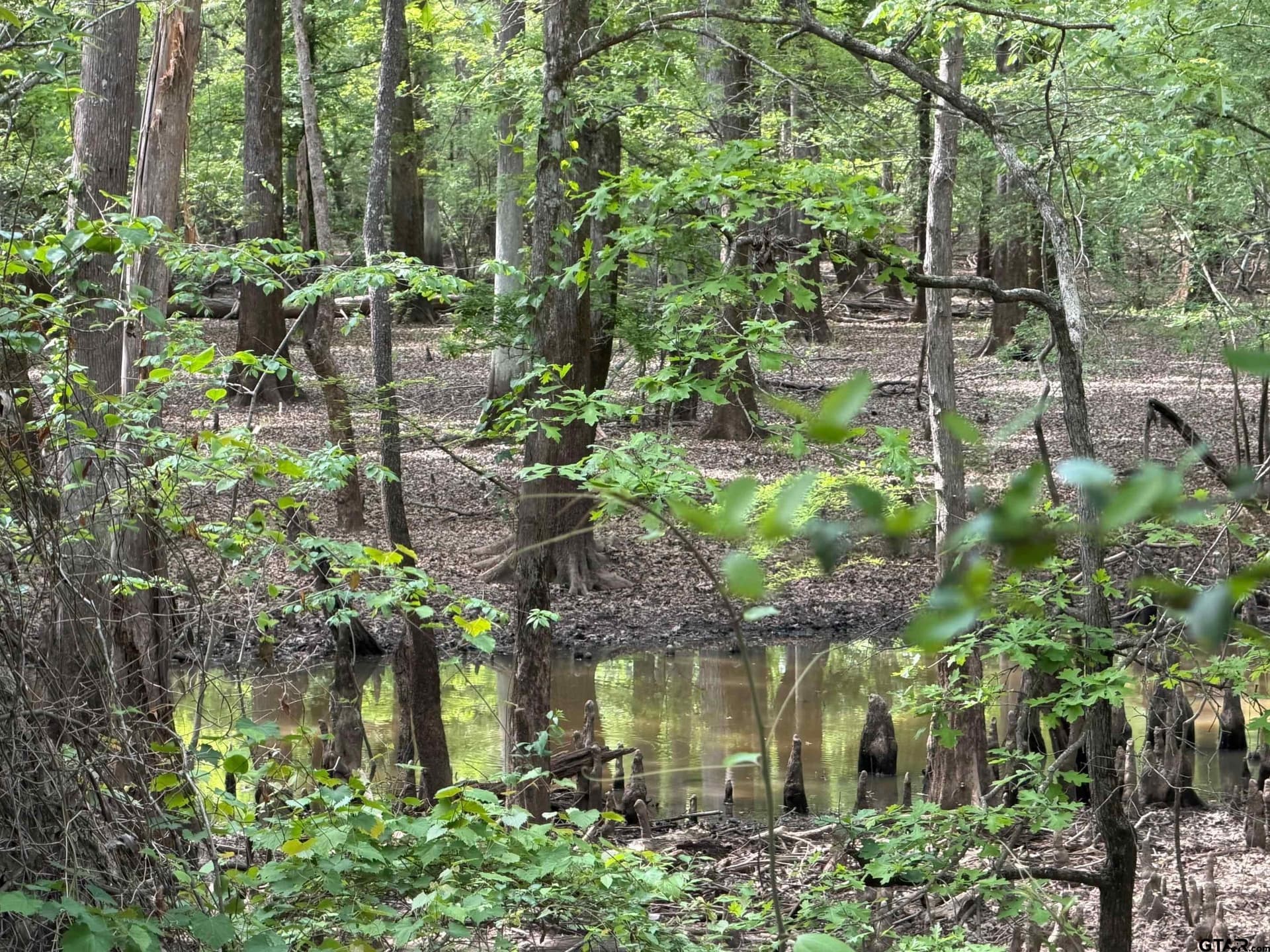 147 acres in Marion County - photo 19