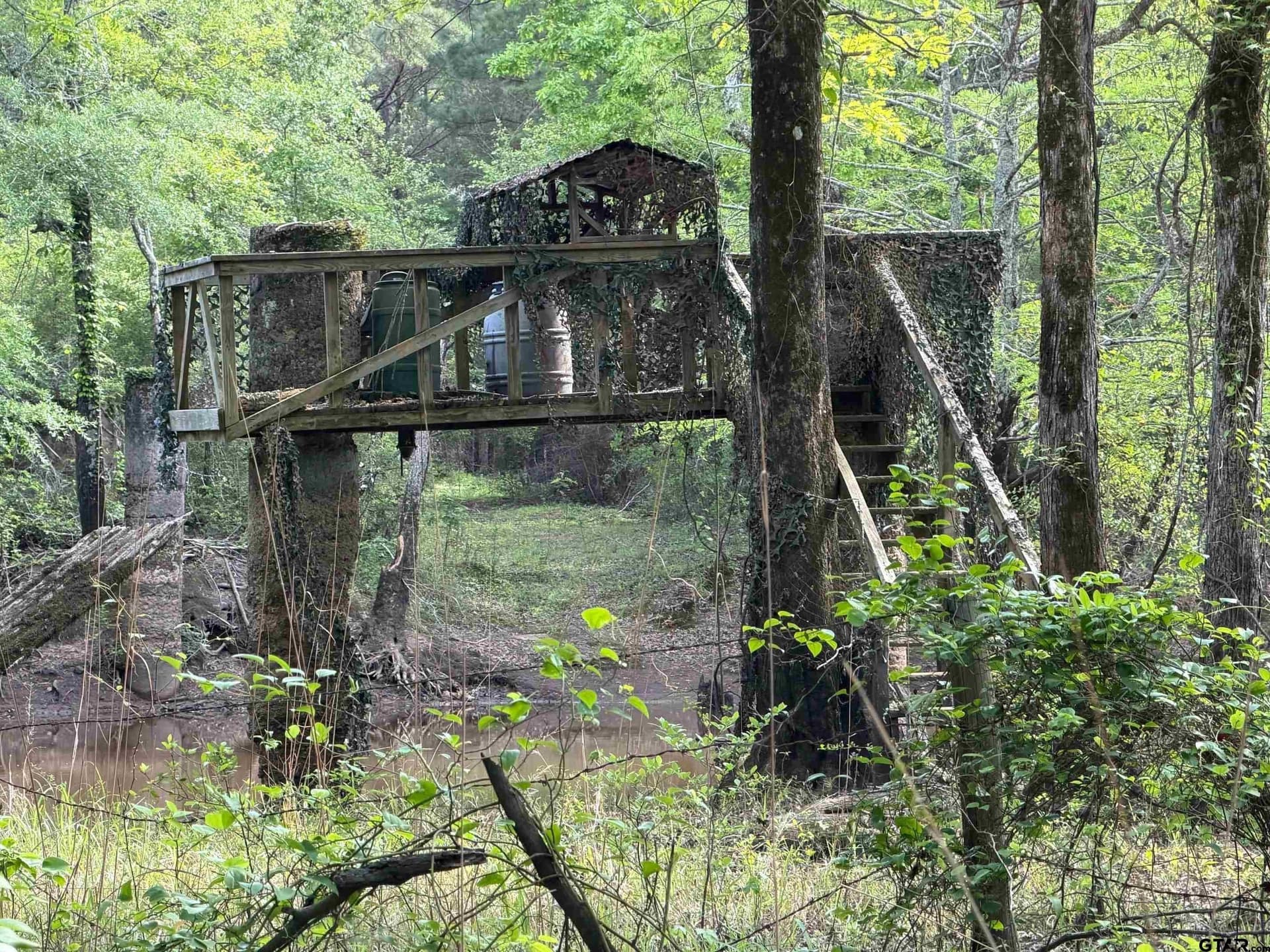 147 acres in Marion County - photo 20