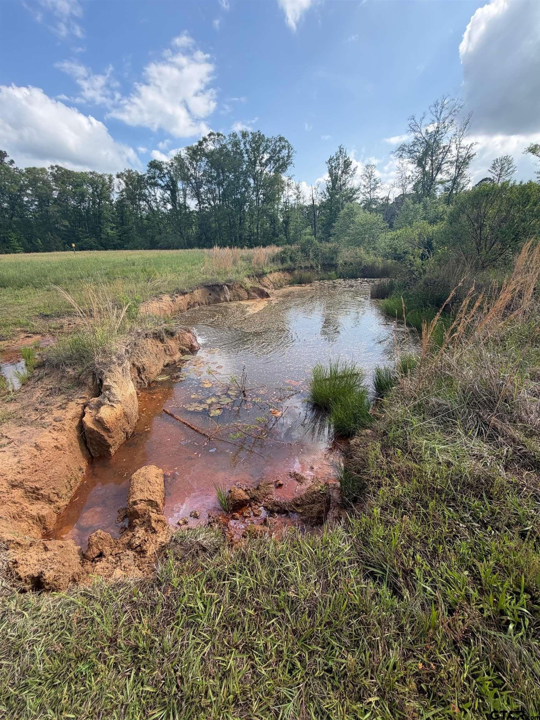 147 acres in Marion County - photo 23