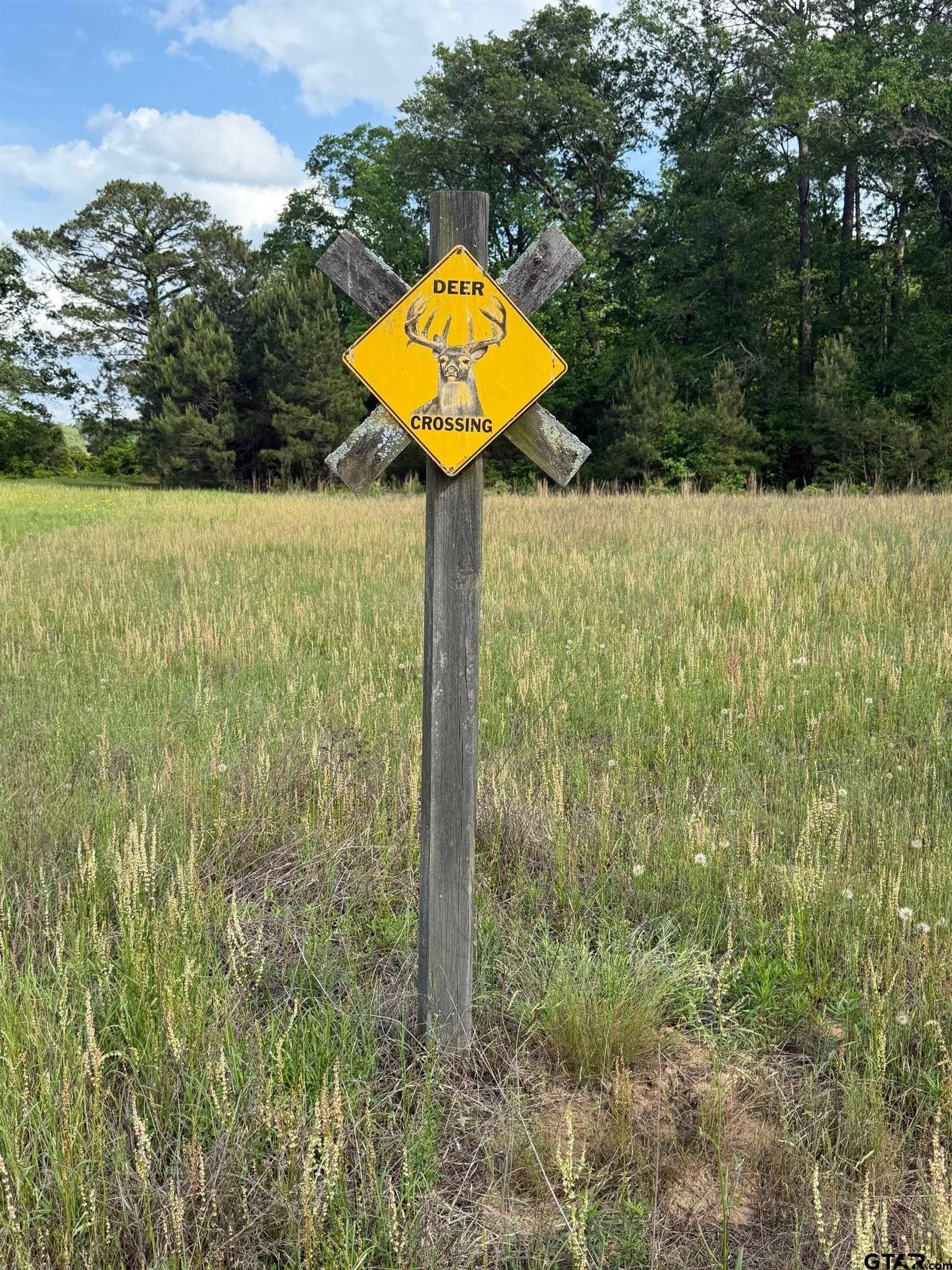 147 acres in Marion County - photo 22