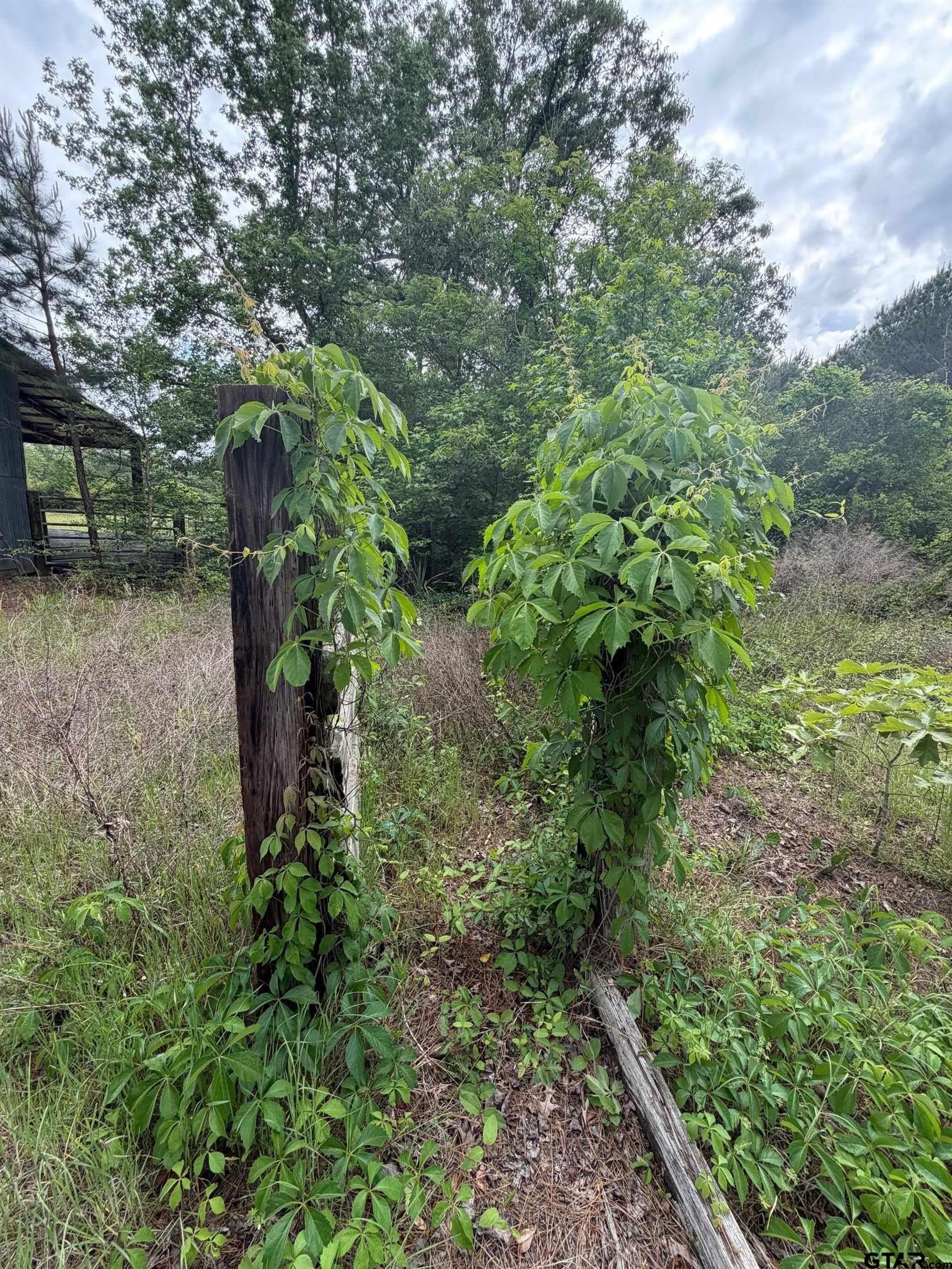147 acres in Marion County - photo 8