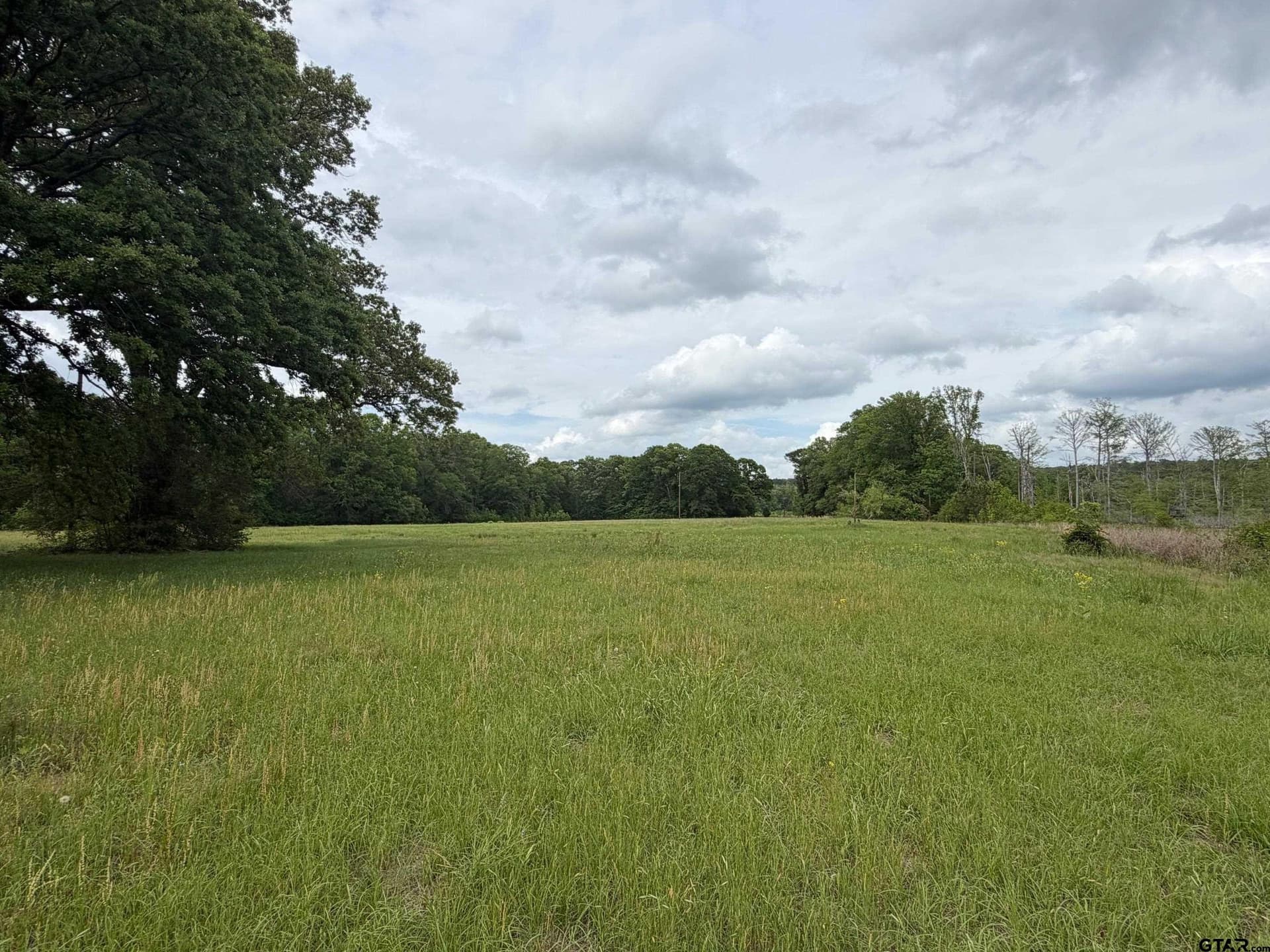 147 acres in Marion County - photo 12