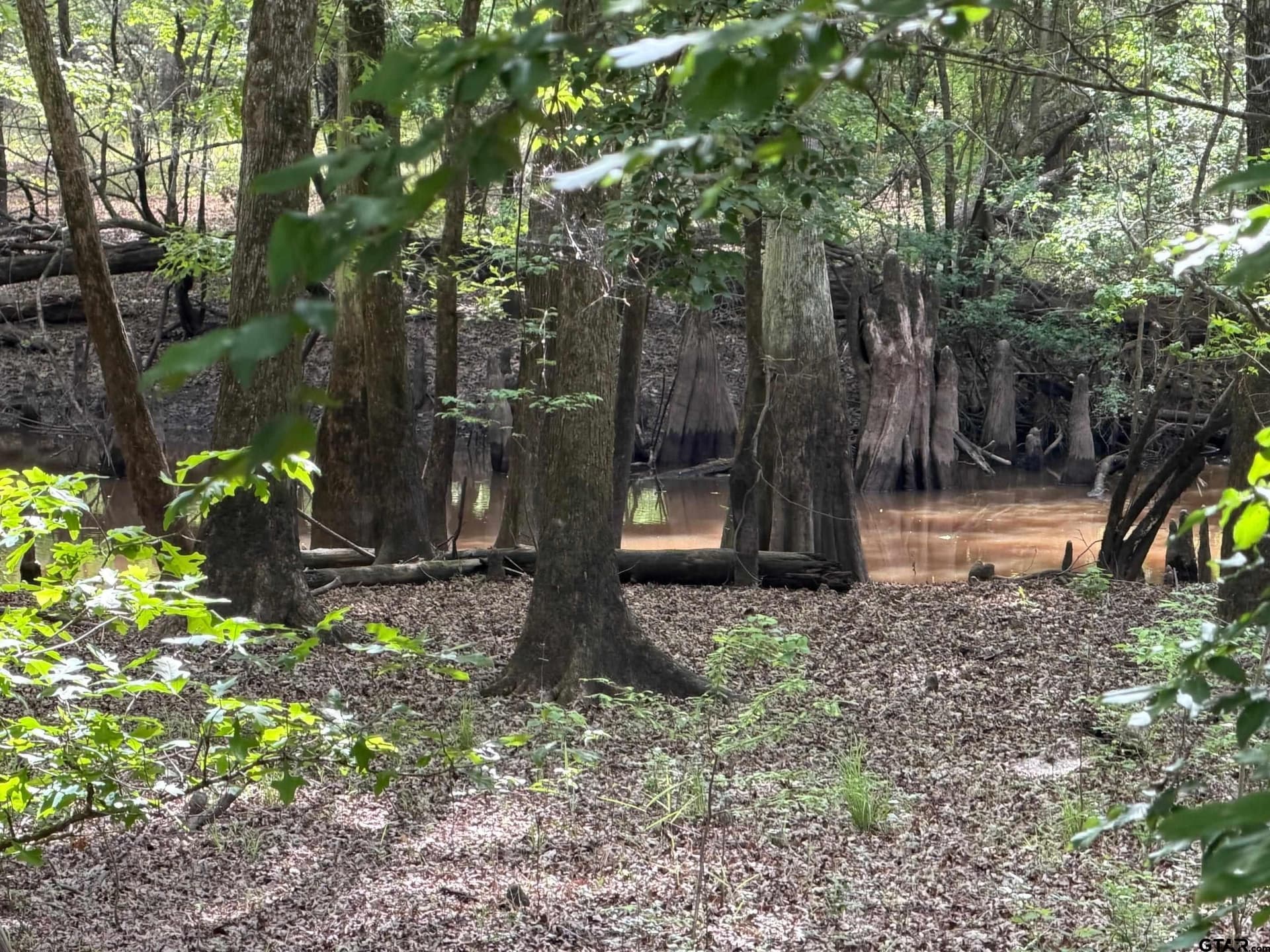147 acres in Marion County - photo 15