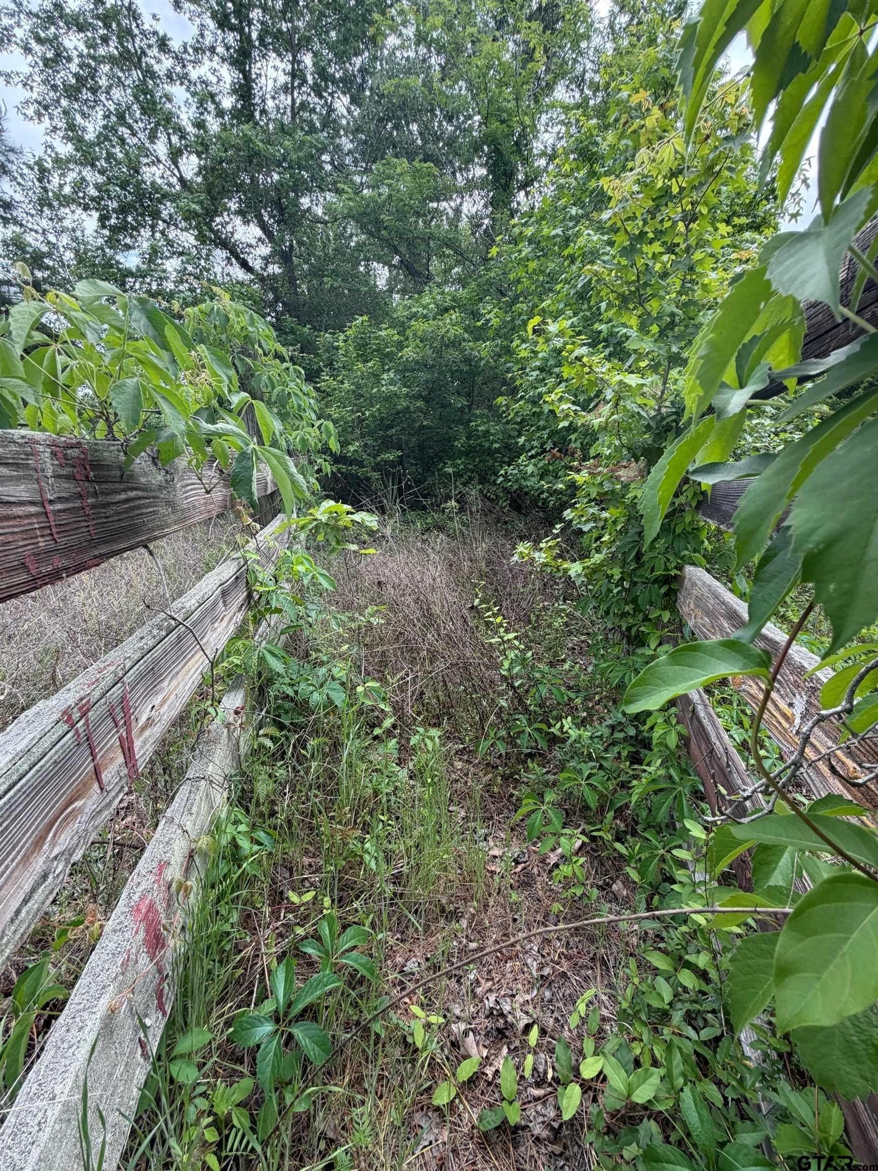 147 acres in Marion County - photo 7