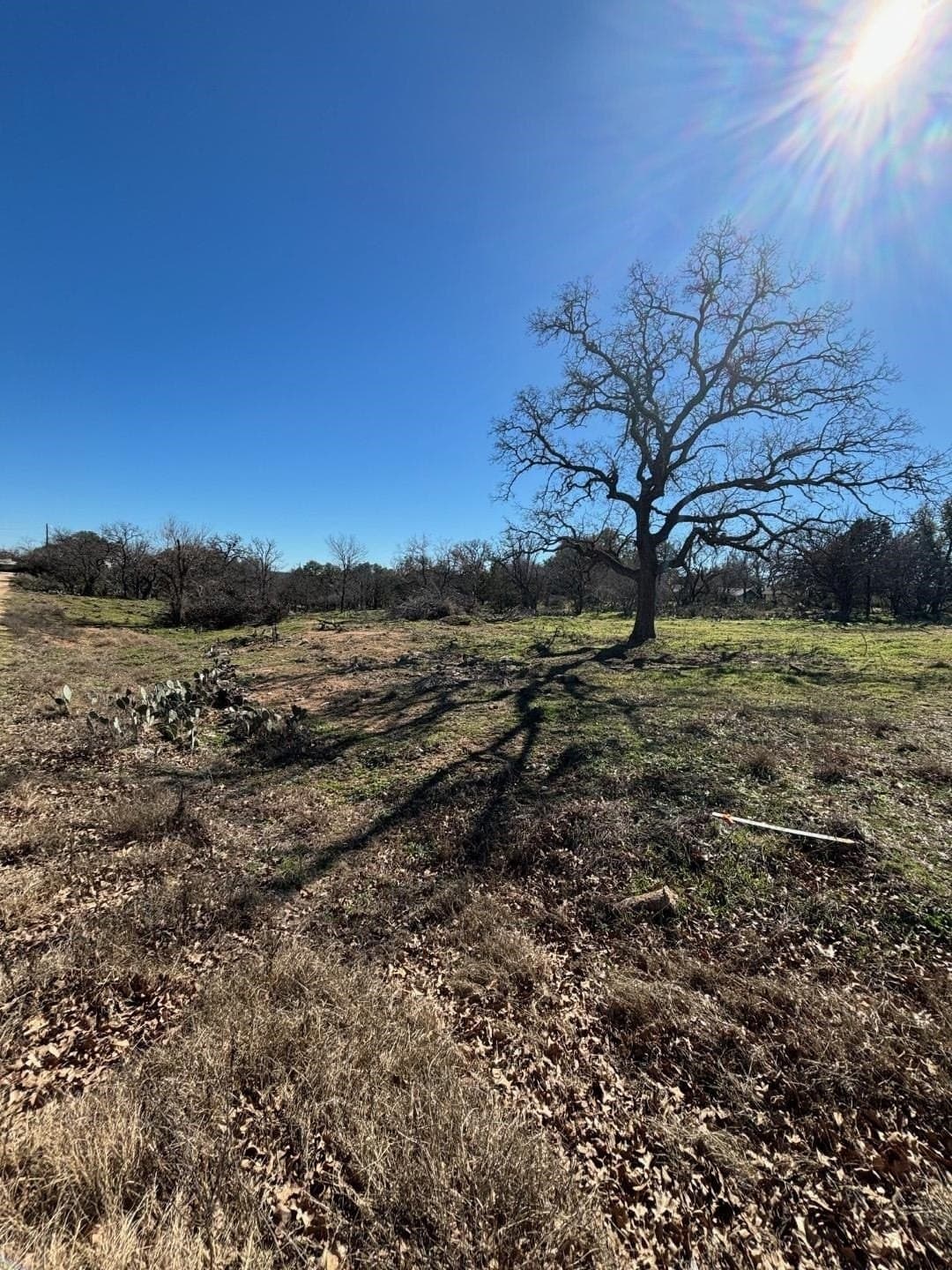 0.5 acres in Burnet County gallery image 2