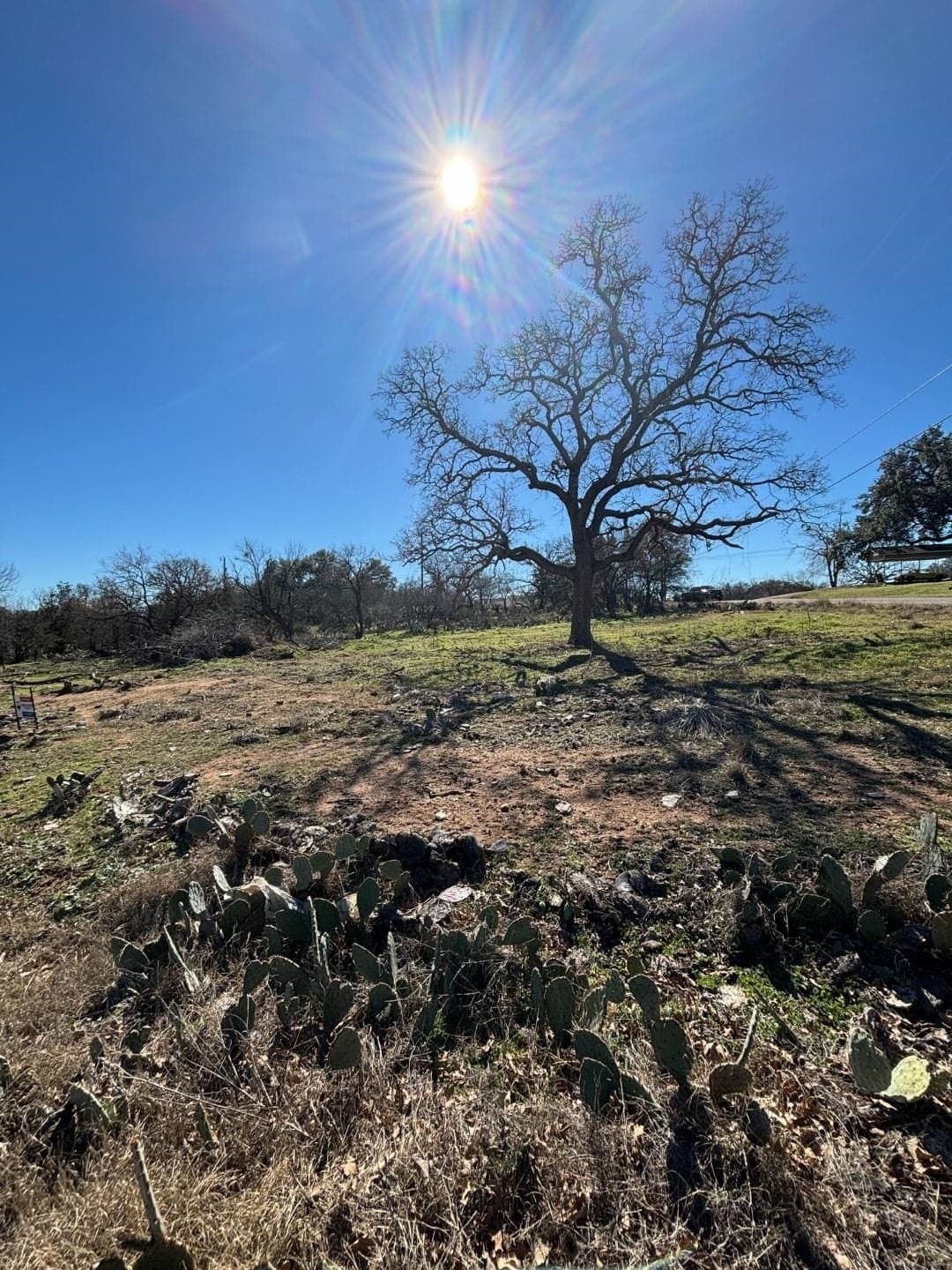 0.5 acres in Burnet County gallery image 3