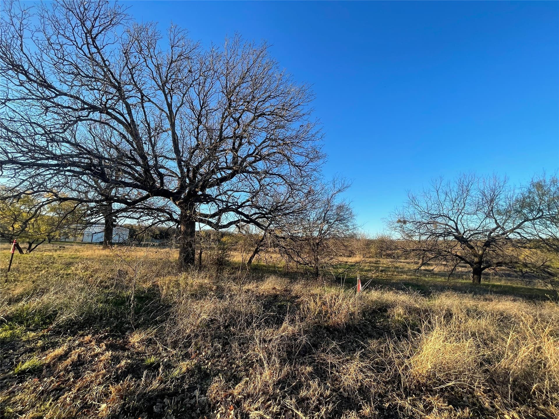 4.54 acres in Palo Pinto County gallery image 2