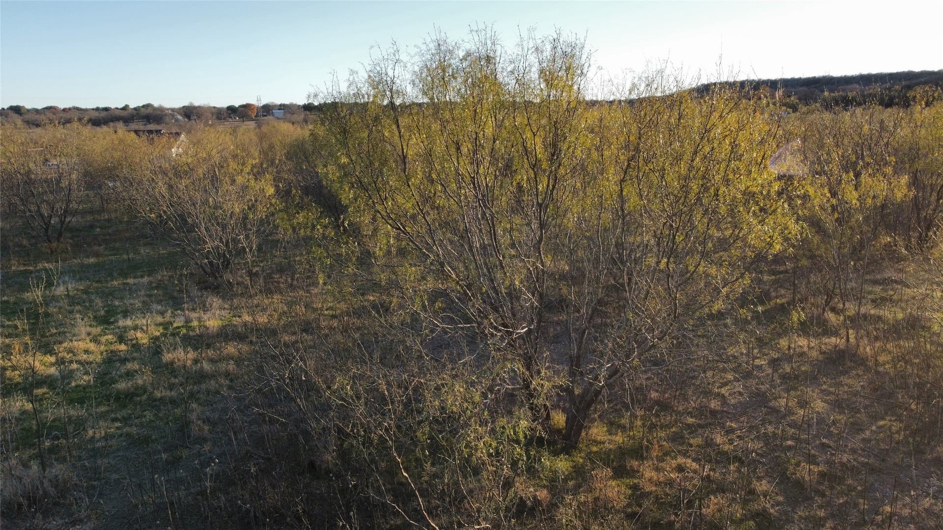 4.54 acres in Palo Pinto County featured view