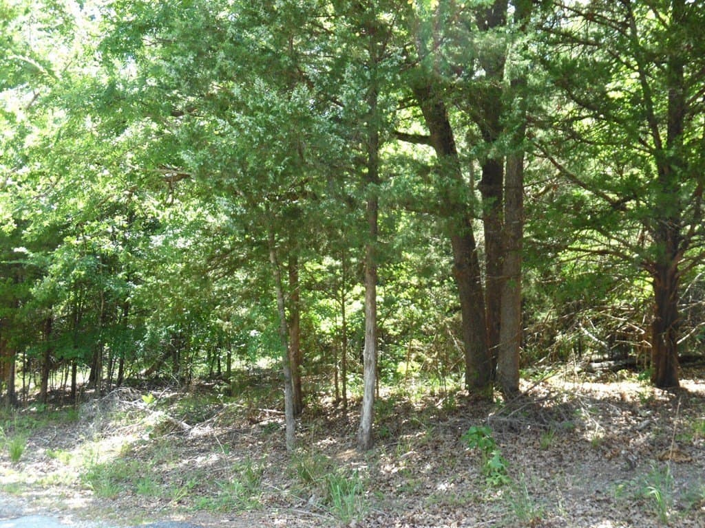 0.22 acres in Van Zandt County gallery image 2